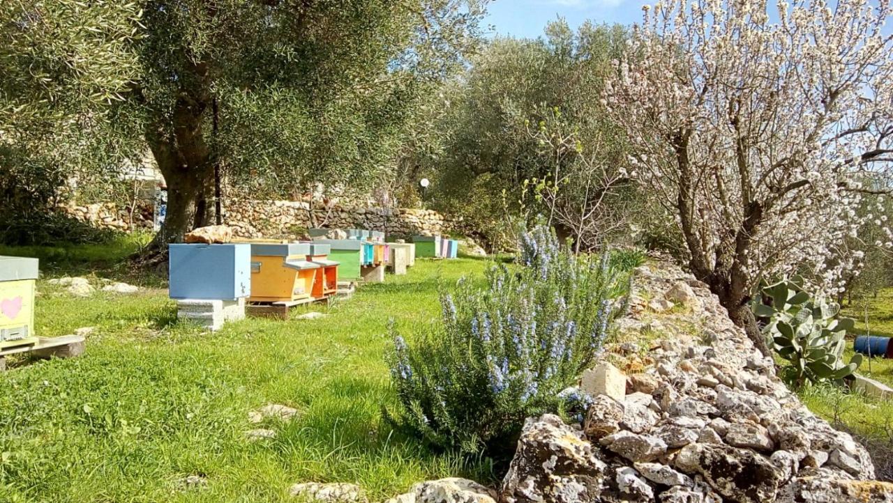 Vivere Ostuni Eksteriør billede